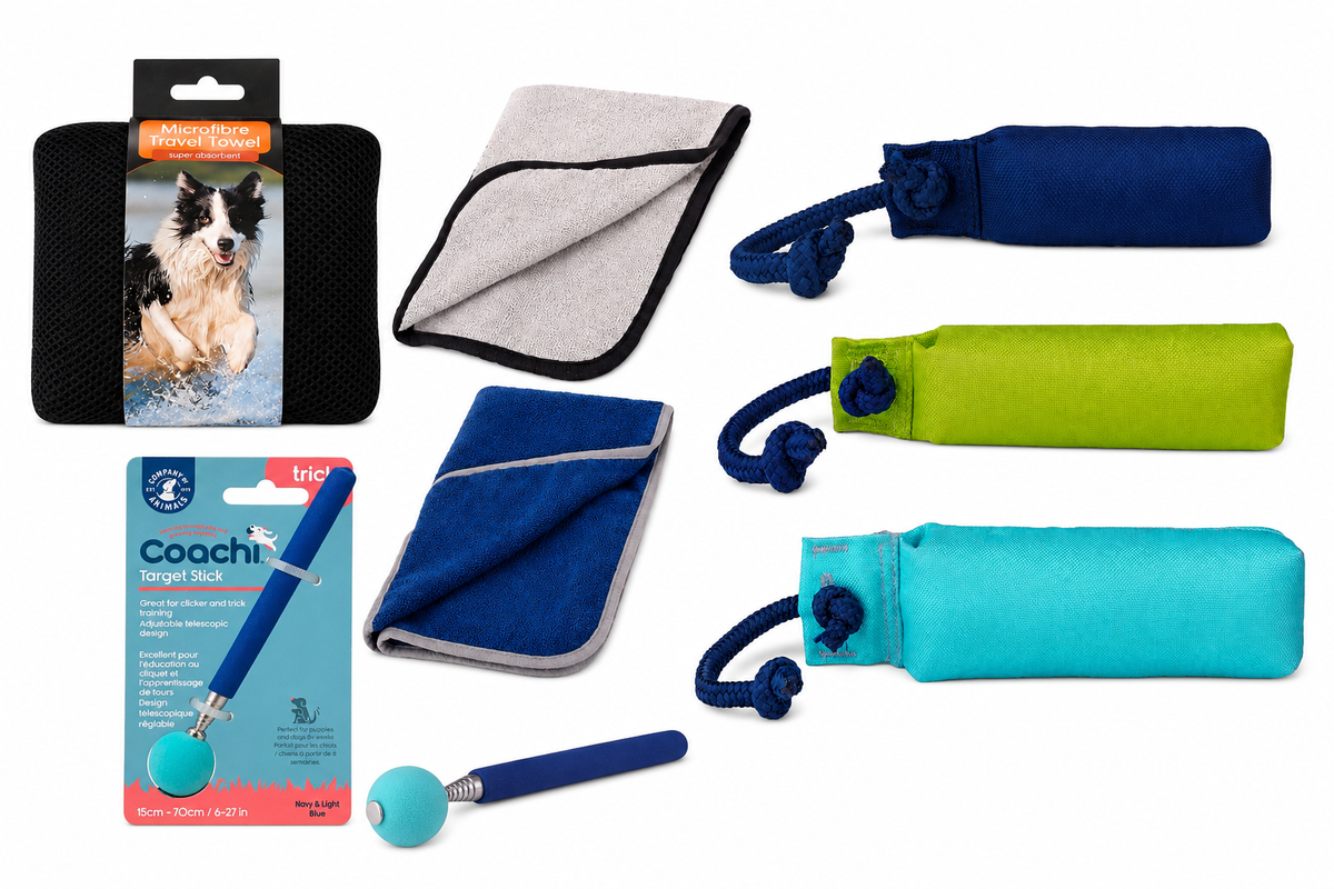 Dog Walking Accessories