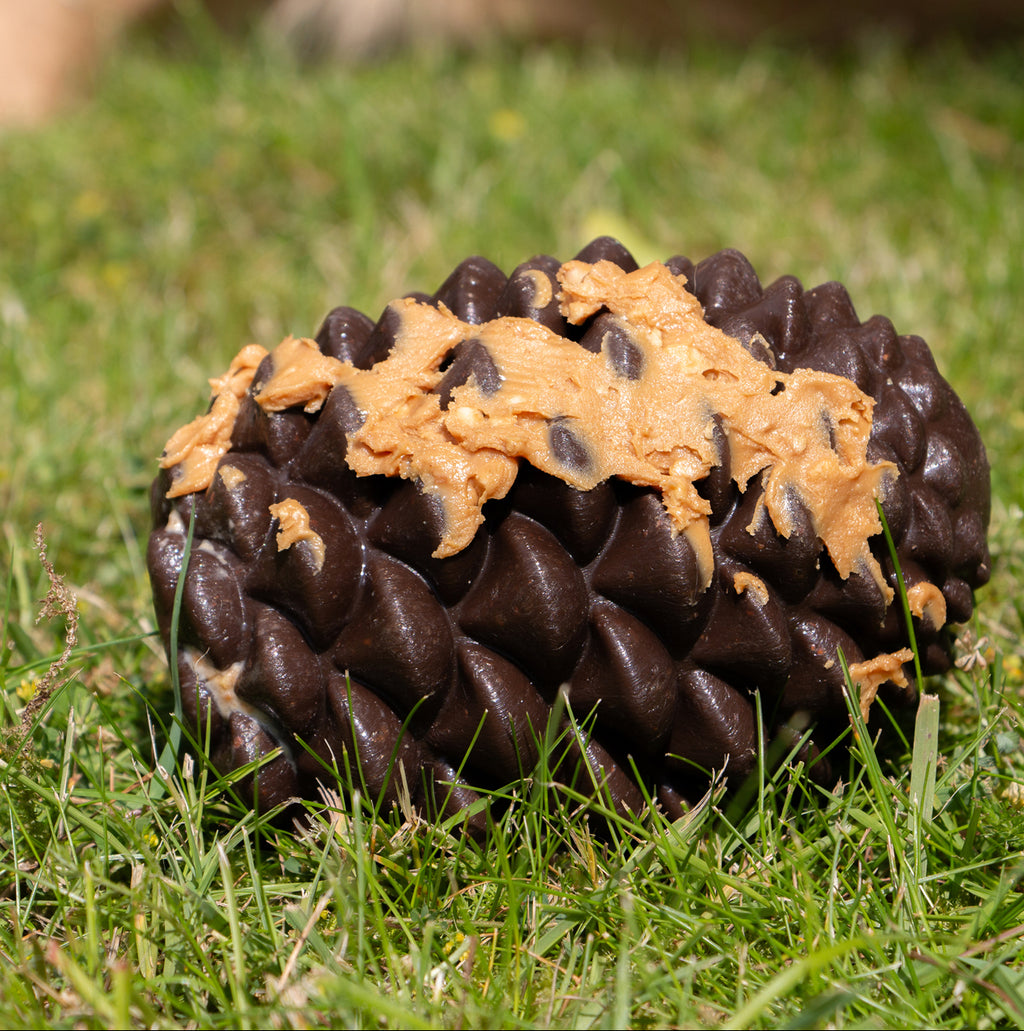 Ancol Orva Pinecone Treat Dispenser