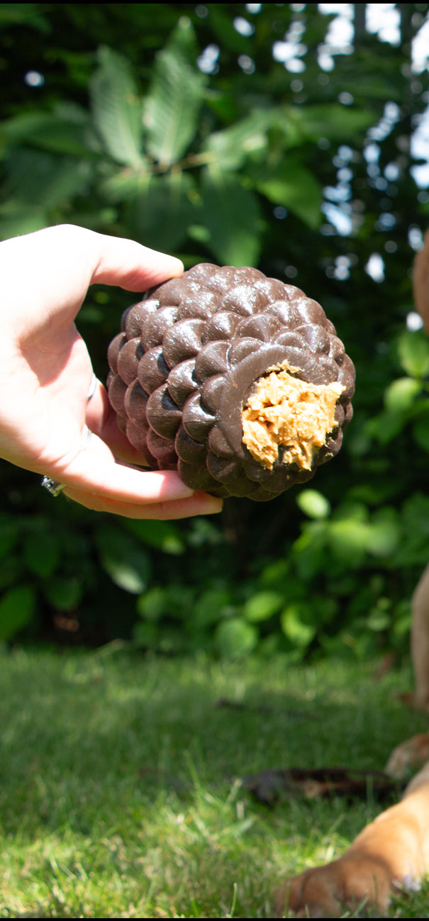 Ancol Orva Pinecone Treat Dispenser