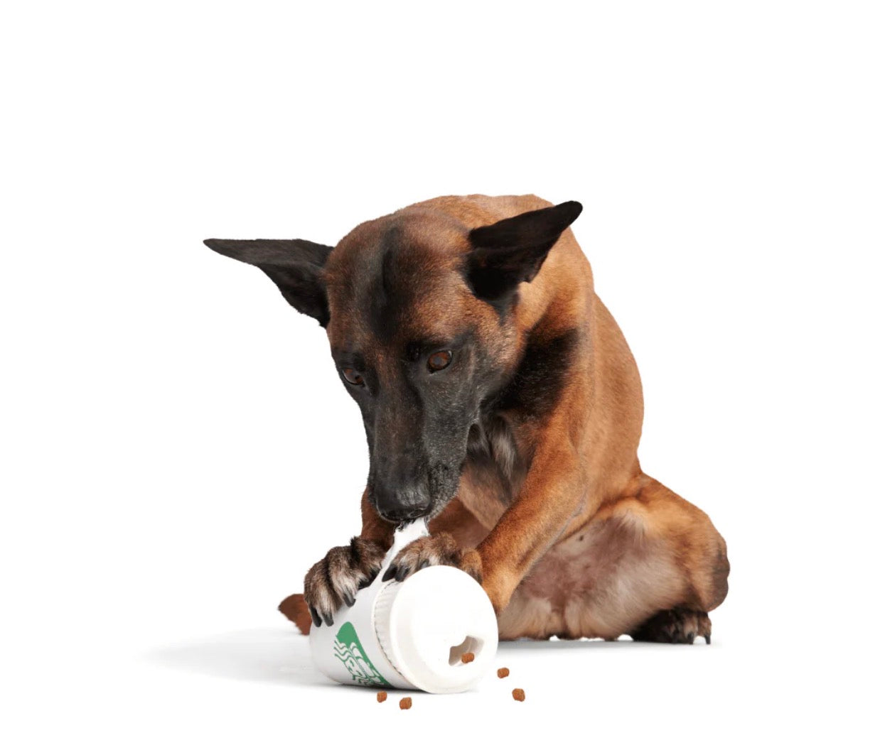 Bark Pupkin  Spiced Yappucino Treat Dispenser Durable Dog Toy