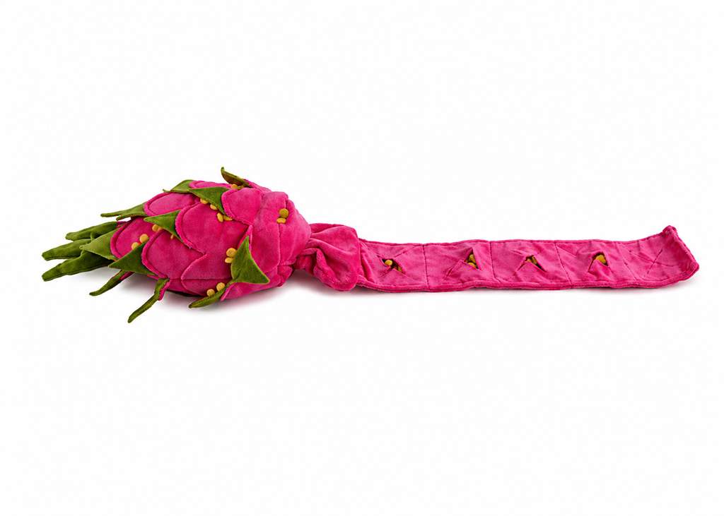 All for paws dig it dragon fruit puzzle toy