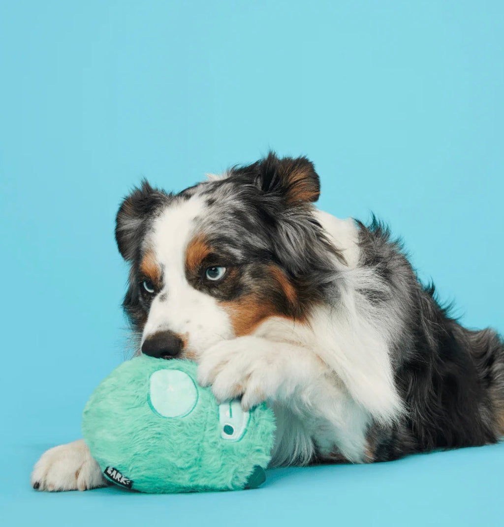 Bark Aurora Beast Vanilla Scented Dog Durable Toy