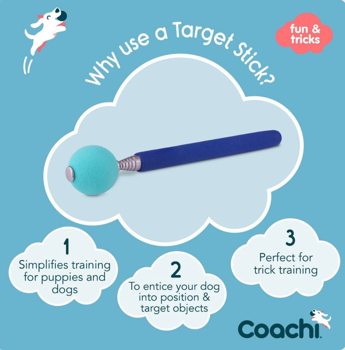 Coachi Target Stick